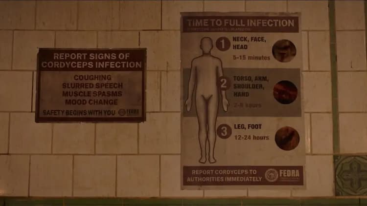 FEDRA information on infection and incubation rates