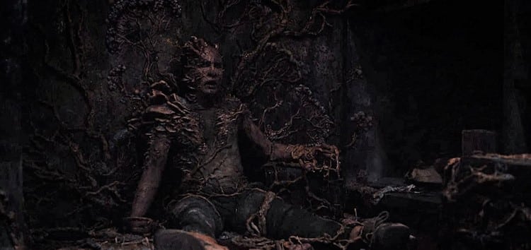 Infected sitting amongst dried fungus