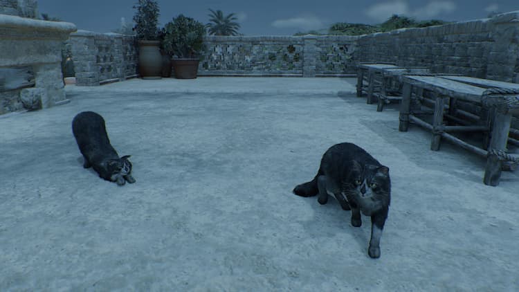 Cats with the AC logo across their nose